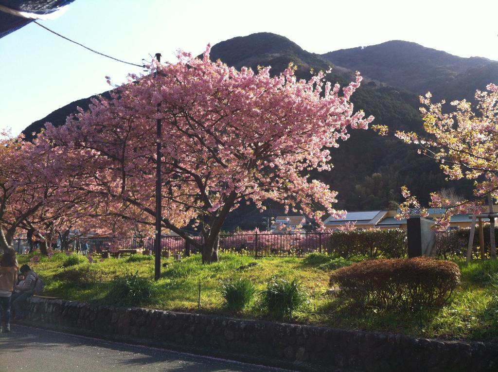 Hareya Hotel Shimoda  Exterior foto